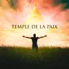 Temple de la Paix - Musique de méditation, Sons de la nature au yoga, Sons de la guérison, Moment pour vous, Soulager le stress album lyrics, reviews, download