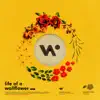 Life of a Wallflower Vol. 1 album lyrics, reviews, download