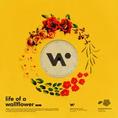 Wallflower Song Lyrics