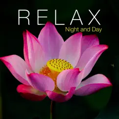 Relax Night and Day - Zen Music for Positive Energy by Zen da Berg & Ethereal Destiny album reviews, ratings, credits