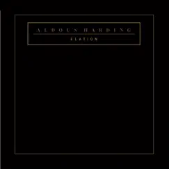 Elation - Single by Aldous Harding album reviews, ratings, credits
