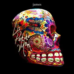 La Petite Mort by James album reviews, ratings, credits