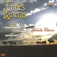 Tardes Llaneras by Carlos Pulido & Nestor Rozo album reviews, ratings, credits