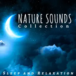 Sleeping Music Song Lyrics