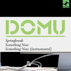 Springbreak / Something New - Single by Domu album reviews, ratings, credits