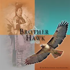 Brother Hawk Song Lyrics