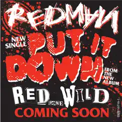 Put It Down - Single by Redman album reviews, ratings, credits