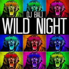 Wild Night Song Lyrics