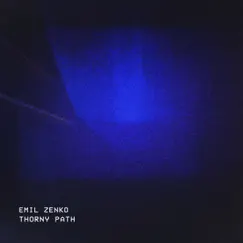 Thorny Path Song Lyrics