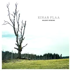 Silent String by Einar Flaa album reviews, ratings, credits