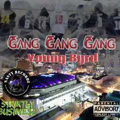 Gang, Gang, Gang - Single by Young Byrd album reviews, ratings, credits