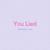 You Lied - Single album lyrics, reviews, download