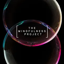 The Mindfulness Project by Yotam Agam & Divya Rolla album reviews, ratings, credits