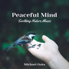 Peaceful Mind (Soothing Nature Music) by Michael Oaks album reviews, ratings, credits