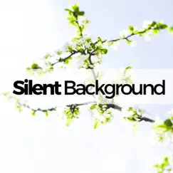 Silent Background (Hintergrundmusik) - das Beste an Instrumentalmusik, Meditationsmusik, Naturgeräuschen by Entspannung Natur Phantasiereise & Sleep Music Academy album reviews, ratings, credits