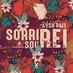 Sorri, Sou Rei (KVSH Remix) Song Lyrics