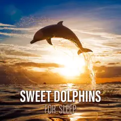 Sweet Dolphins for Sleep Song Lyrics