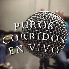 El Parcero (En Vivo) Song Lyrics