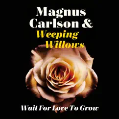 Wait for Love to Grow (feat. Weeping Willows) - Single by Magnus Carlson album reviews, ratings, credits