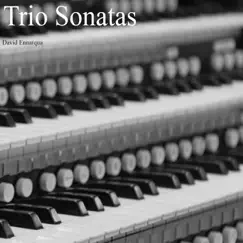Trio Sonata No. 6 in G Major, BWV 530: III. Allegro Song Lyrics