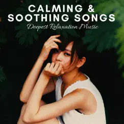 Calming & Soothing Songs Song Lyrics