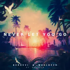 Never Let You Go - Single by Wahlbeck, Vendela & Bergevi album reviews, ratings, credits