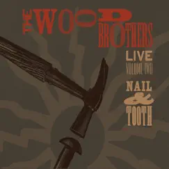 Live, Vol. 2: Nail & Tooth by The Wood Brothers album reviews, ratings, credits