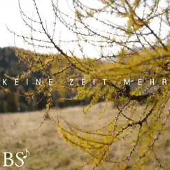Keine Zeit mehr - Single by Bernhard Stocker album reviews, ratings, credits