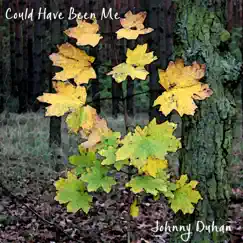 Could Have Been Me - Single by Johnny Duhan album reviews, ratings, credits