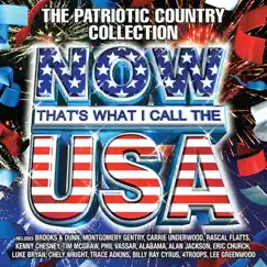 Now That's What I Call the U.S.A. (The Patriotic Country Collection) by Various Artists album reviews, ratings, credits
