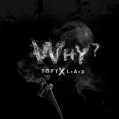 Why (feat. L.A.X) Song Lyrics