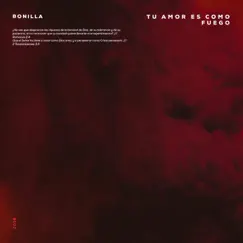 Tu Amor Es Como Fuego - Single by Bonilla album reviews, ratings, credits