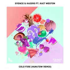 Cold Fire (feat. Kait Weston) [HUN1TDW Remix] - Single by Syence & Kaidro album reviews, ratings, credits
