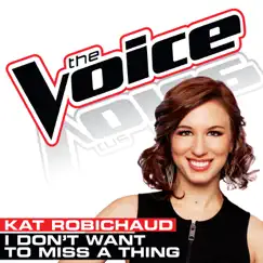I Don’t Want To Miss a Thing (The Voice Performance) Song Lyrics