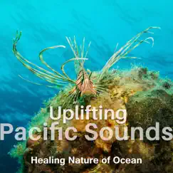 Uplifting Pacific Sounds Song Lyrics