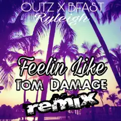 Feelin Like (Tom Damage Remix) [feat. Ryleigh] Song Lyrics