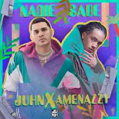 Nadie Sabe - Single by Juhn & Amenazzy album reviews, ratings, credits