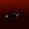 Killer Whale song lyrics