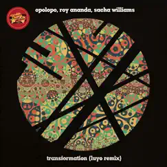 Transformation (feat. Sacha Williamson) - Single by Opolopo & Roy Ananda album reviews, ratings, credits