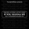 If You Wanna See (feat. Jay Ronic, Active, Darce, Kid V, Alexander Holland & B.C) - Single album lyrics, reviews, download