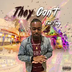 They Can't - Single by Fat Trey album reviews, ratings, credits