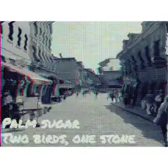 Two Birds, One Stone - Single by Palm Sugar album reviews, ratings, credits