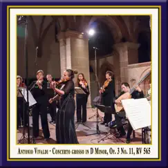 Concerto grosso in D Minor, Op. 3 No. 11, RV 565: I. Allegro - Adagio e spiccato - Allegro (Live) Song Lyrics
