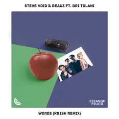 Words (feat. Bri Tolani) [kr1sh Remix] - Single by Steve Void & BEAUZ album reviews, ratings, credits