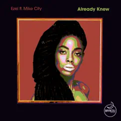 Already Knew (feat. Mike City) Song Lyrics