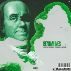 Benjamines (feat. Gigolo Y La Exce) - Single by Sou El Flotador album reviews, ratings, credits