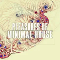 Pleasures of Minimal House by Various Artists album reviews, ratings, credits