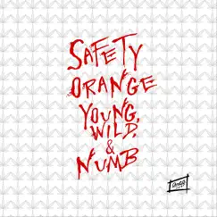 Young Wild & Numb - Single by Safety Orange album reviews, ratings, credits