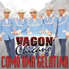 Como una Gelatina - Single by Vagon Chicano album reviews, ratings, credits