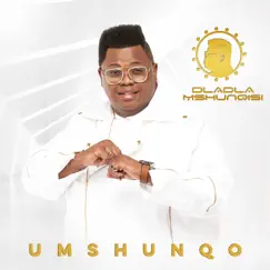 Umshunqo by Dladla Mshunqisi album reviews, ratings, credits